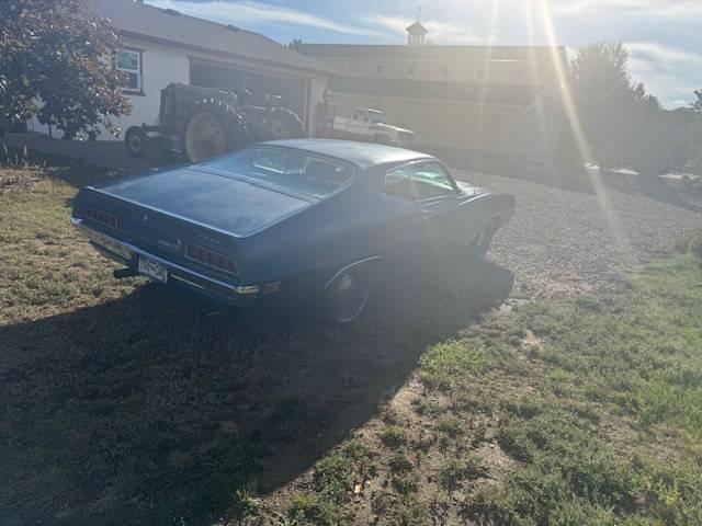 Ford Torino Cobra image 7