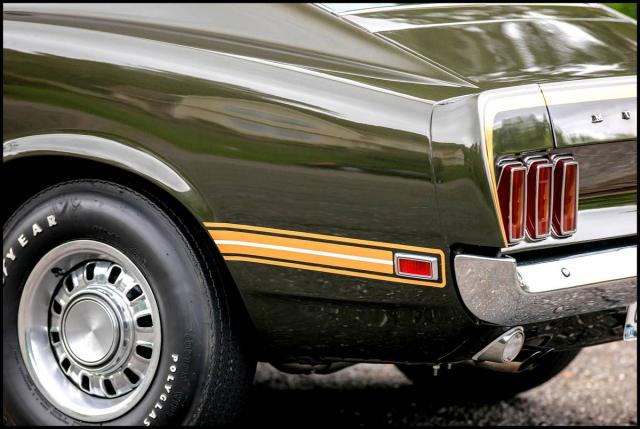 Ford Mustang image 5