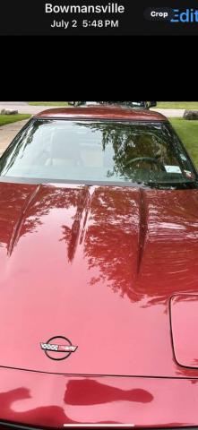 Chevrolet Corvette image 2