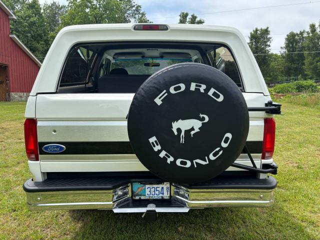 Ford Bronco image 2