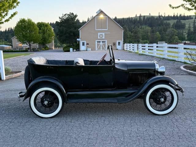 Ford Phaeton image 5