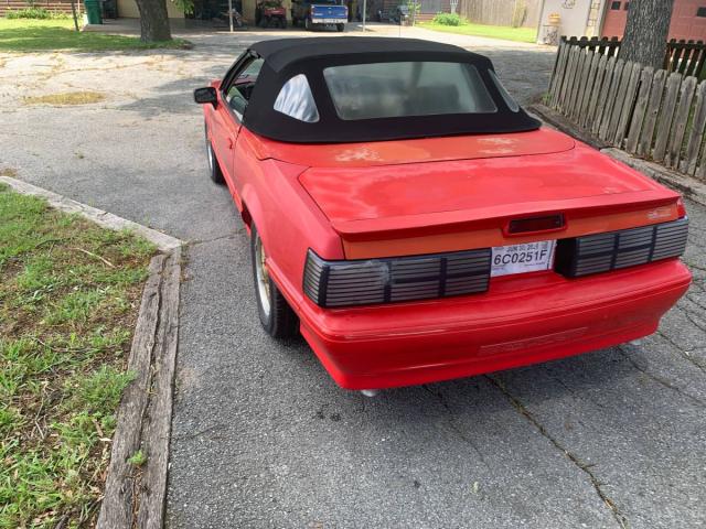 Ford Mustang image 6