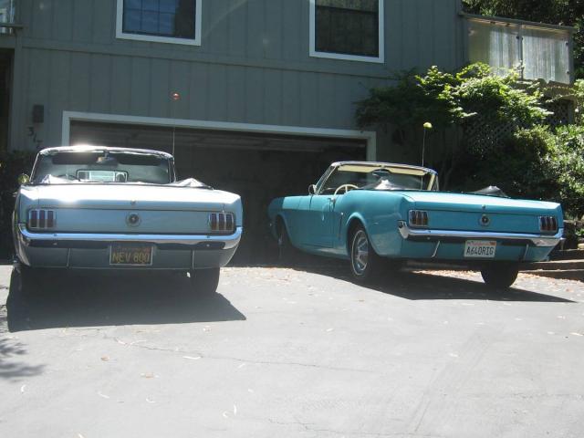 Ford Mustang image 2