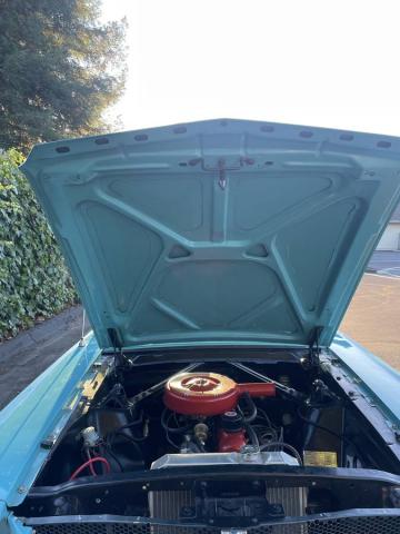 Ford Mustang image 8