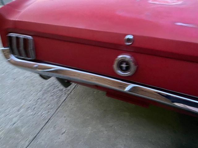 Ford Mustang Cope image 5