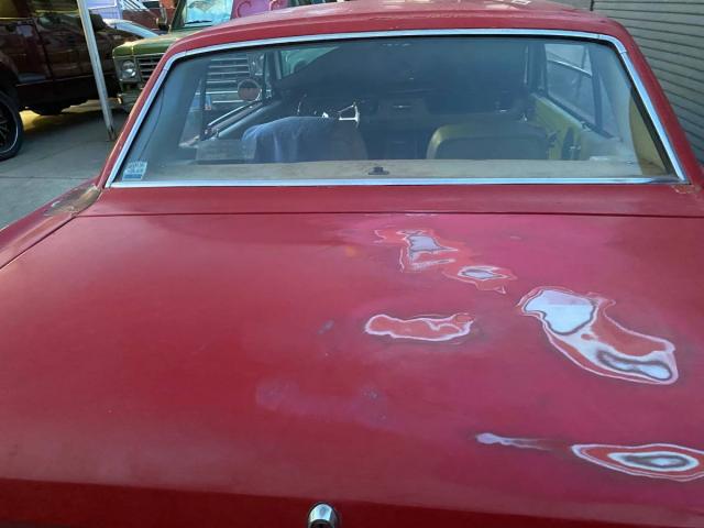 Ford Mustang Cope image 3