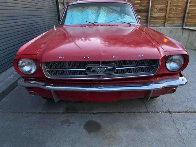 Ford Mustang Cope image 1