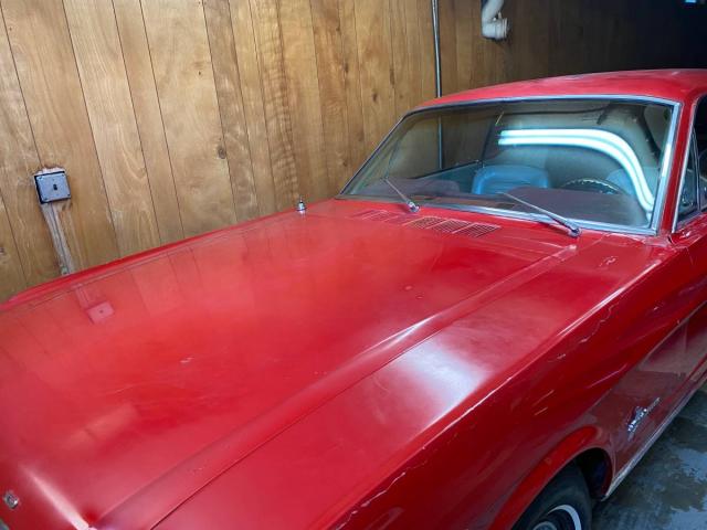 Ford Mustang Cope image 6