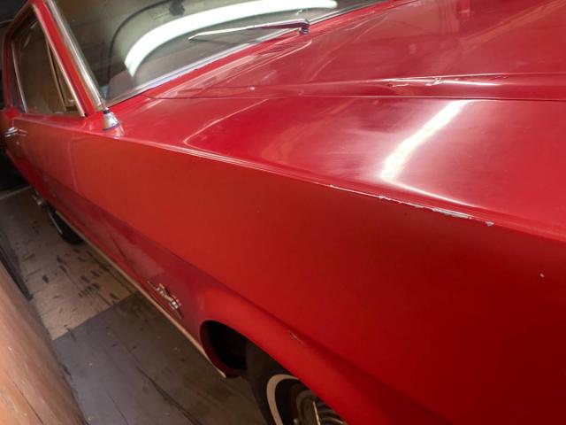 Ford Mustang Cope image 4