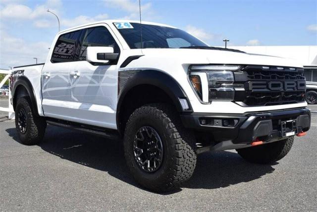 Ford F-150 image 1