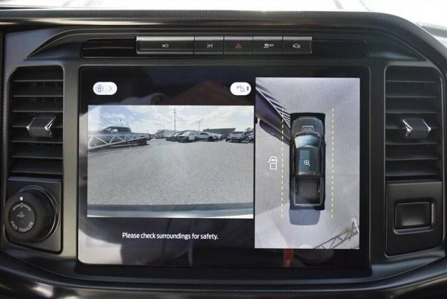 Ford F-150 image 5