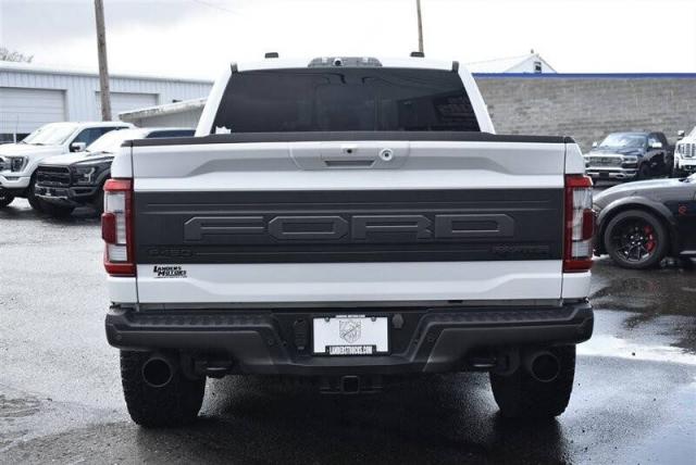 Ford F-150 image 3