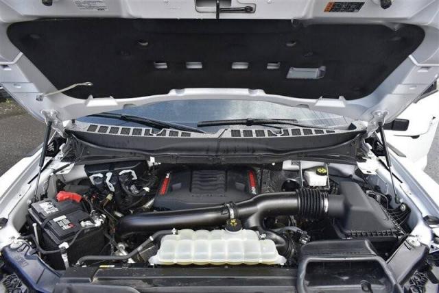 Ford F-150 image 1
