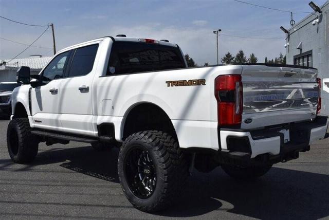 Ford F-350 Diesel image 6