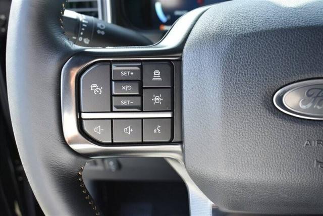 Ford F-250 Diesel image 3