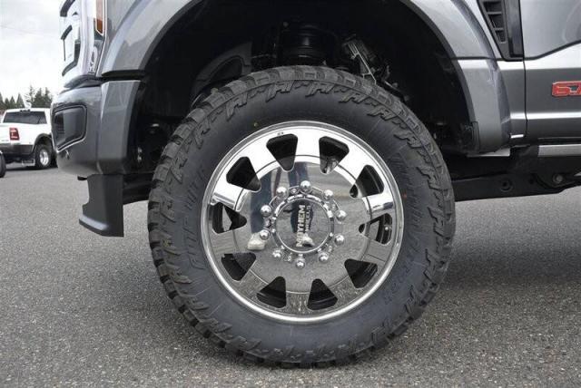 Ford F-450 Super Duty Diesel image 5