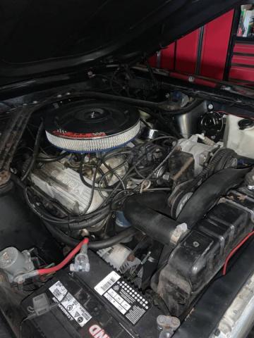 Ford Mustang image 4