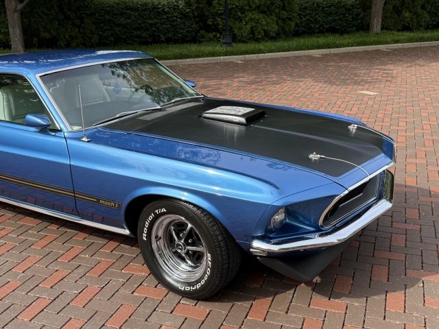 Ford Mustang image 6