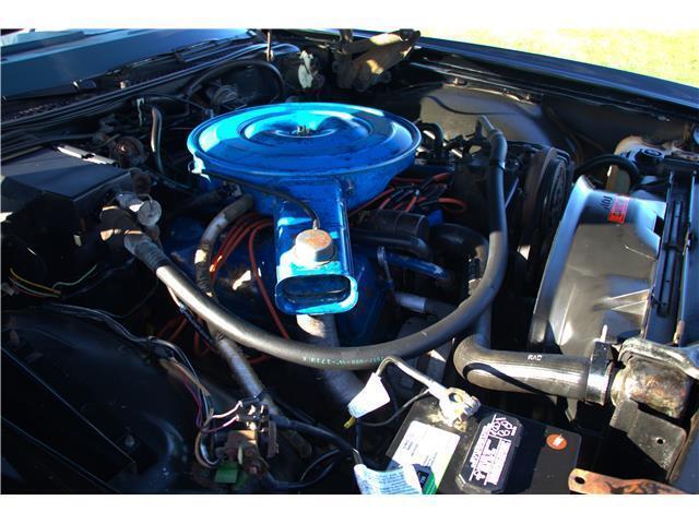 Ford Ltd image 9