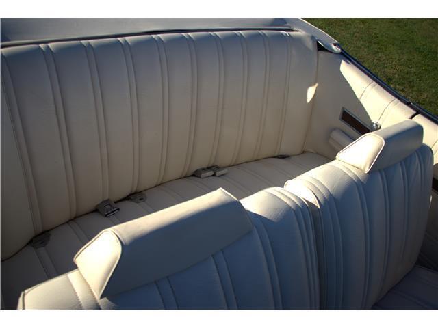 Ford Ltd image 5