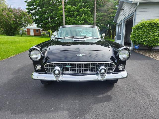 Ford Thunderbird image 3