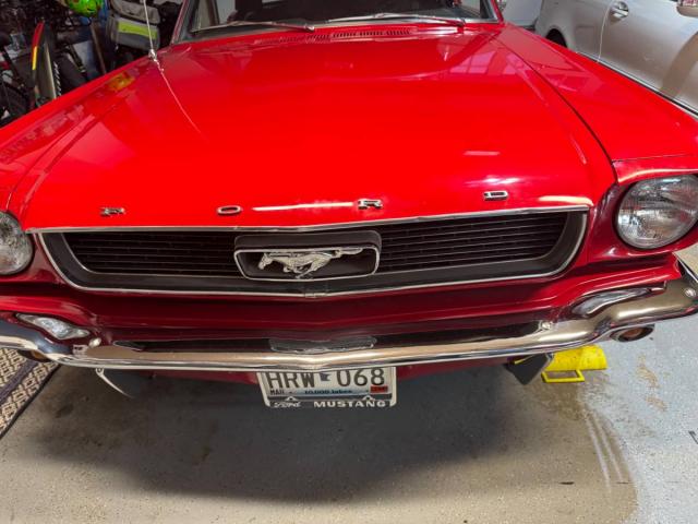 Ford Mustang image 2