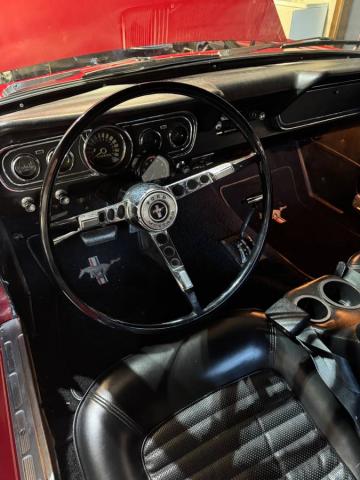 Ford Mustang image 1