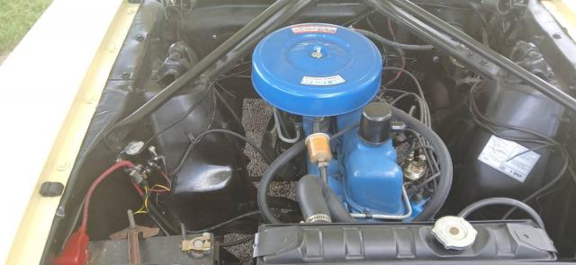 Ford Mustang image 1