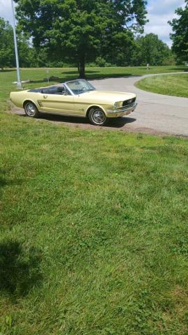 Ford Mustang image 4