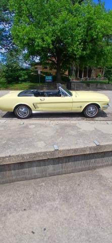 Ford Mustang image 6