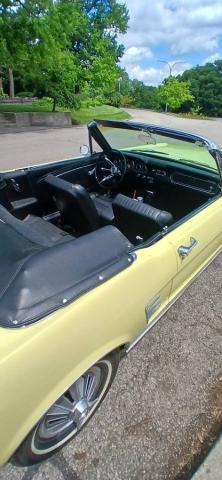Ford Mustang image 3