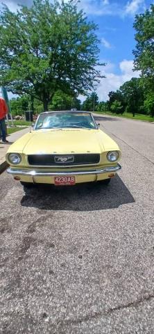 Ford Mustang image 5