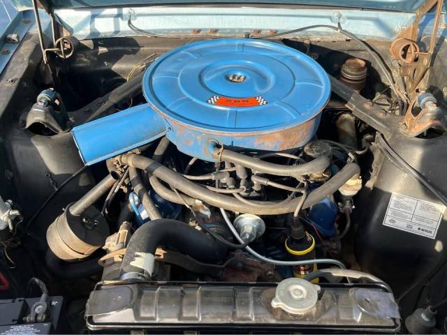 Ford Mustang image 3