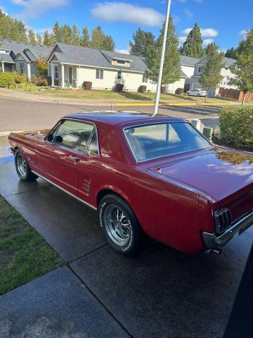 Ford Mustang image 6