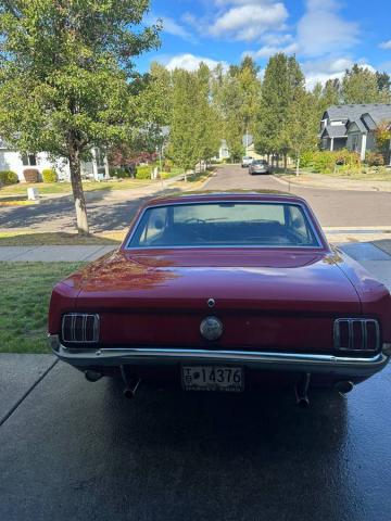 Ford Mustang image 5