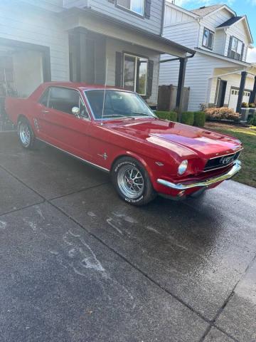 Ford Mustang image 3