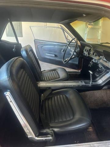 Ford Mustang image 1