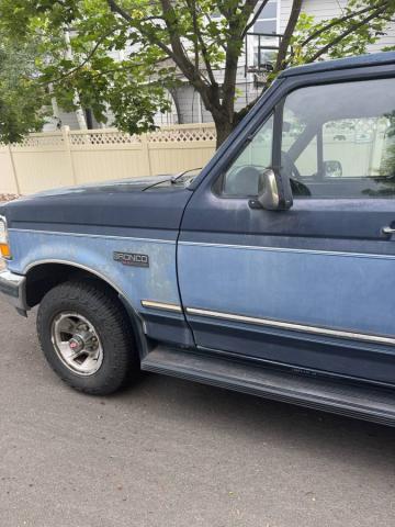Ford Bronco Xlt image 3