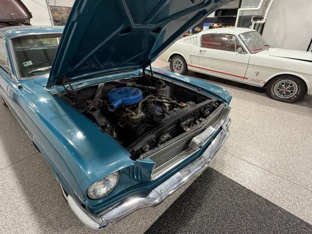 Ford Mustang image 1