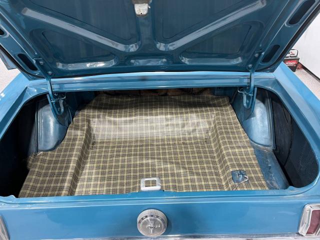 Ford Mustang image 2