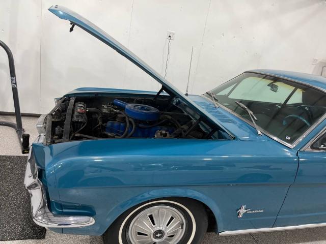 Ford Mustang image 6