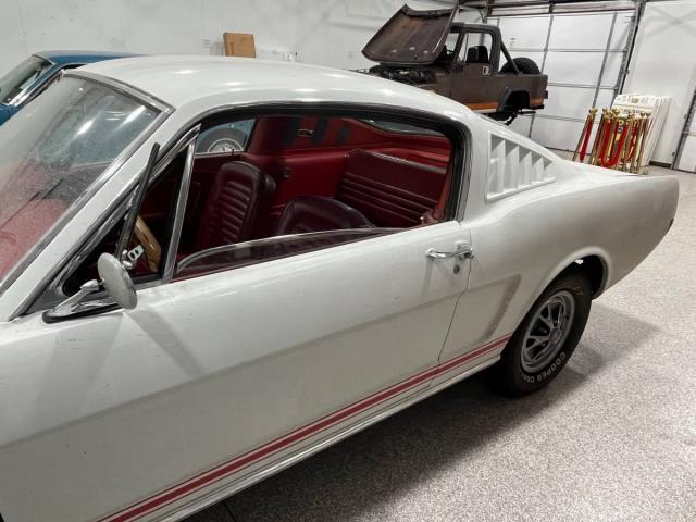 Ford Mustang Fastback image 7