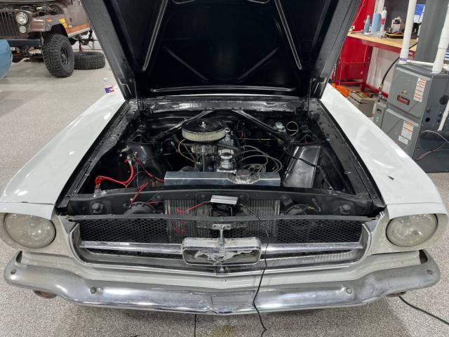 Ford Mustang Fastback image 1
