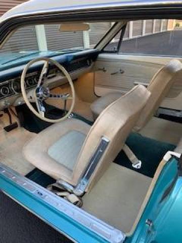 Ford Mustang image 1