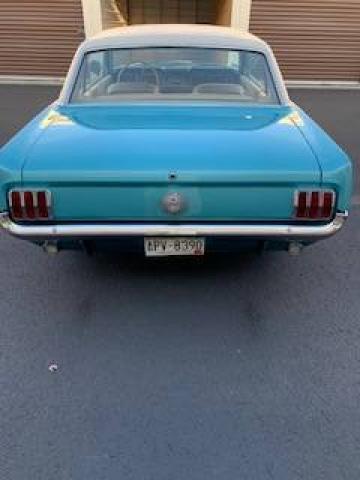 Ford Mustang image 3