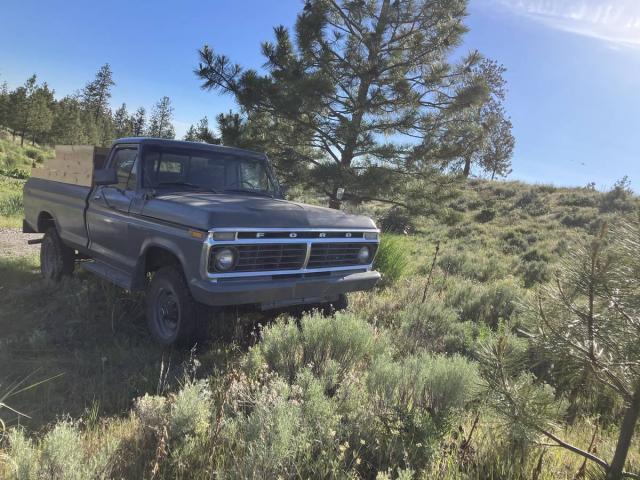 Ford F-250 image 9