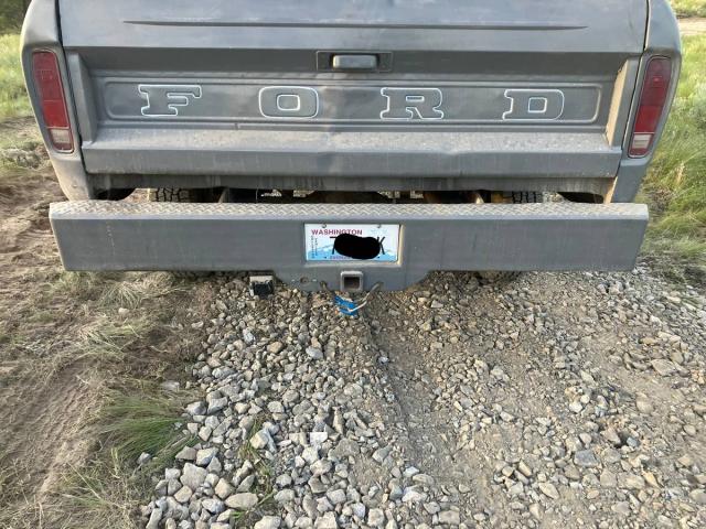 Ford F-250 image 2
