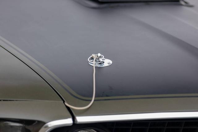 Ford Mustang image 1