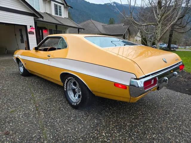 Ford Torino image 1
