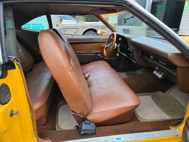 Ford Torino image 2